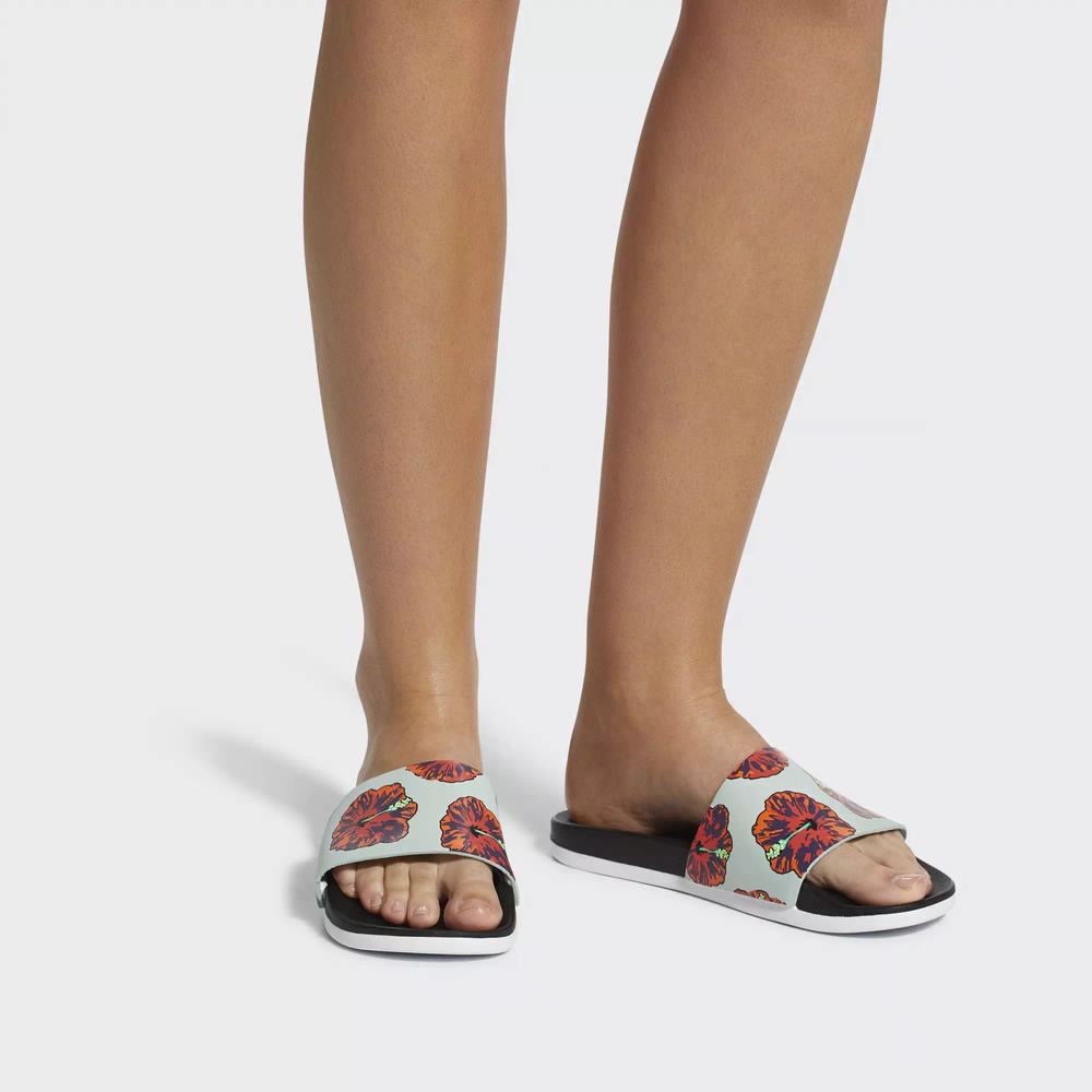 Adidas Adilette Cloudfoam Plus Graphic Chanclas Negros Para Mujer (MX-83142)